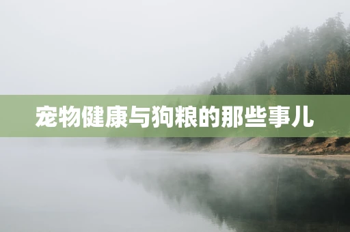 宠物健康与狗粮的那些事儿