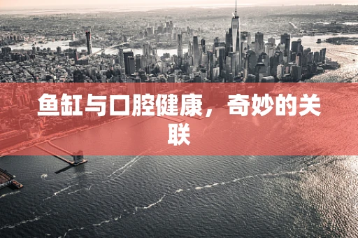 鱼缸与口腔健康，奇妙的关联