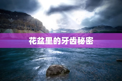 花盆里的牙齿秘密