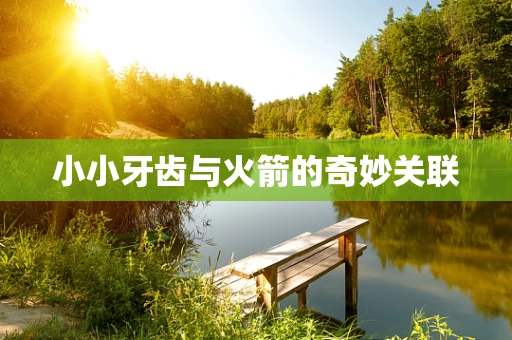 小小牙齿与火箭的奇妙关联