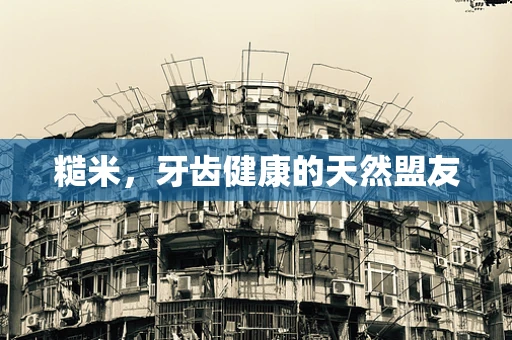 糙米，牙齿健康的天然盟友