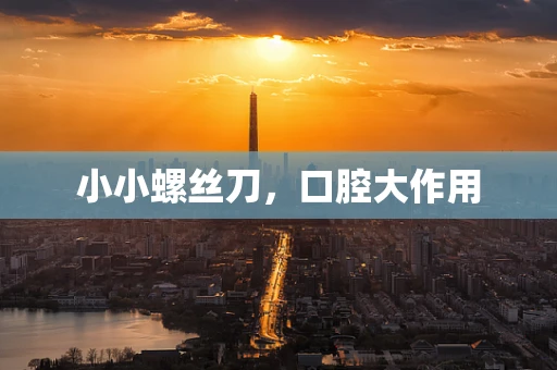 小小螺丝刀，口腔大作用