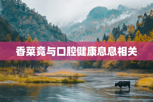 香菜竟与口腔健康息息相关