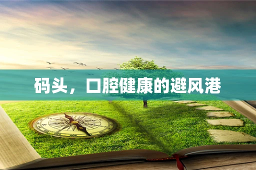 码头，口腔健康的避风港
