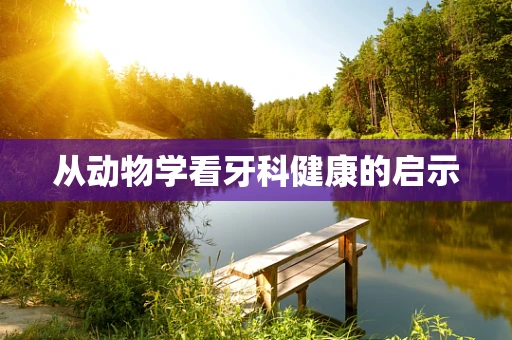 从动物学看牙科健康的启示