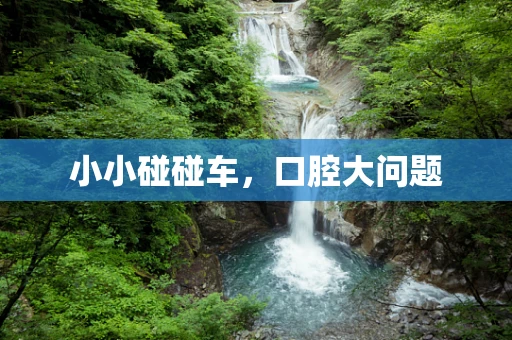 小小碰碰车，口腔大问题