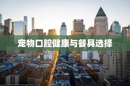 宠物口腔健康与餐具选择