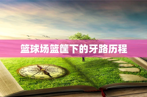 篮球场篮筐下的牙路历程