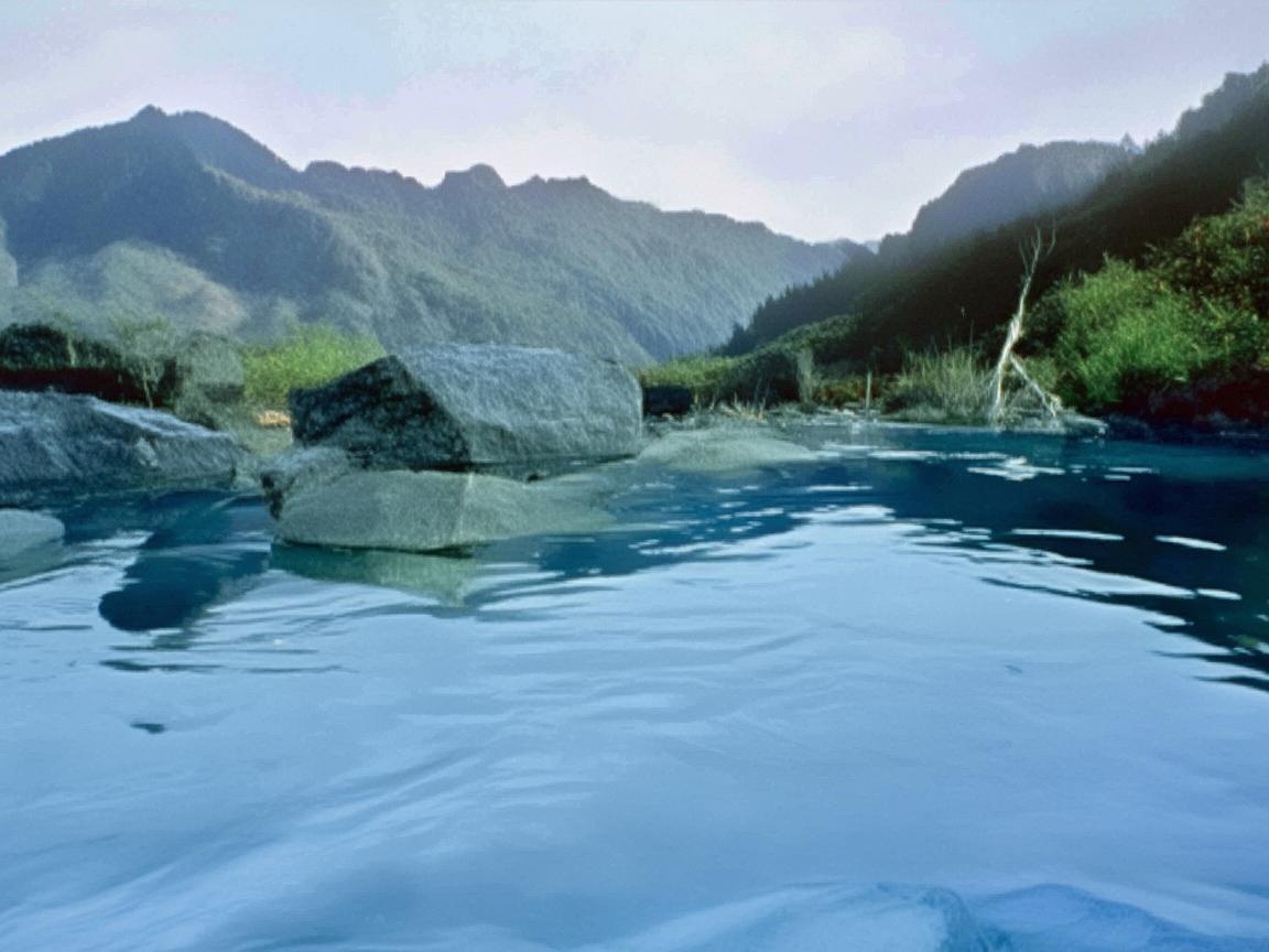 水族馆奇妙牙秘之旅