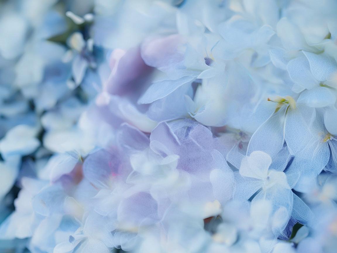 关爱无声，残疾人三轮车与口腔健康的守护